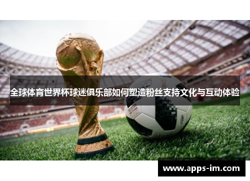 全球体育世界杯球迷俱乐部如何塑造粉丝支持文化与互动体验