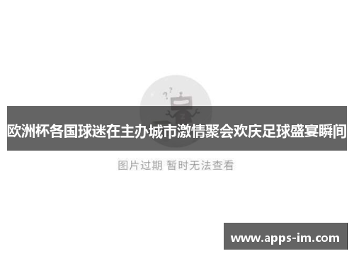 欧洲杯各国球迷在主办城市激情聚会欢庆足球盛宴瞬间