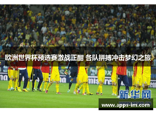 欧洲世界杯预选赛激战正酣 各队拼搏冲击梦幻之旅