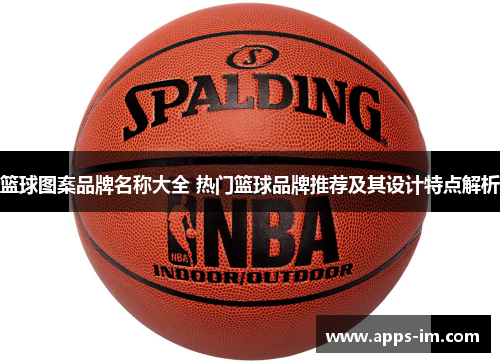 篮球图案品牌名称大全 热门篮球品牌推荐及其设计特点解析