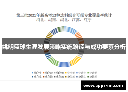 姚明篮球生涯发展策略实施路径与成功要素分析