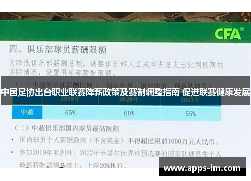 中国足协出台职业联赛降薪政策及赛制调整指南 促进联赛健康发展