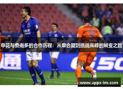 申花与费南多的合作历程：从磨合期到挑战高峰的蜕变之路