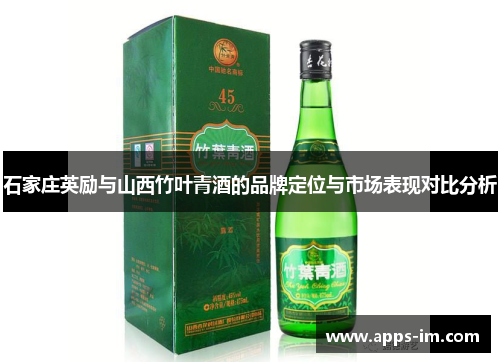 石家庄英励与山西竹叶青酒的品牌定位与市场表现对比分析