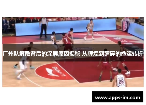 广州队解散背后的深层原因揭秘 从辉煌到梦碎的命运转折