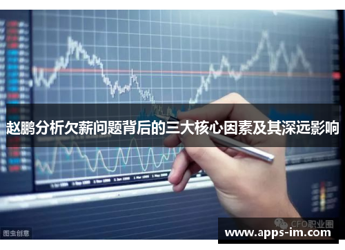 赵鹏分析欠薪问题背后的三大核心因素及其深远影响
