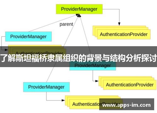 了解斯坦福桥隶属组织的背景与结构分析探讨