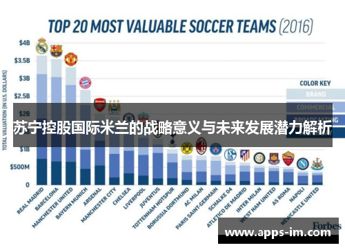 苏宁控股国际米兰的战略意义与未来发展潜力解析