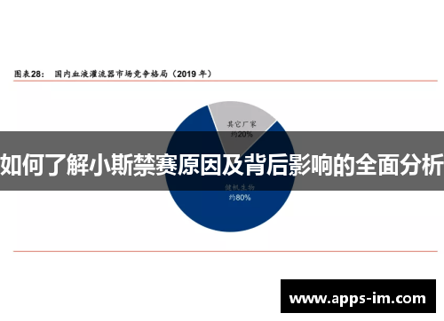 如何了解小斯禁赛原因及背后影响的全面分析